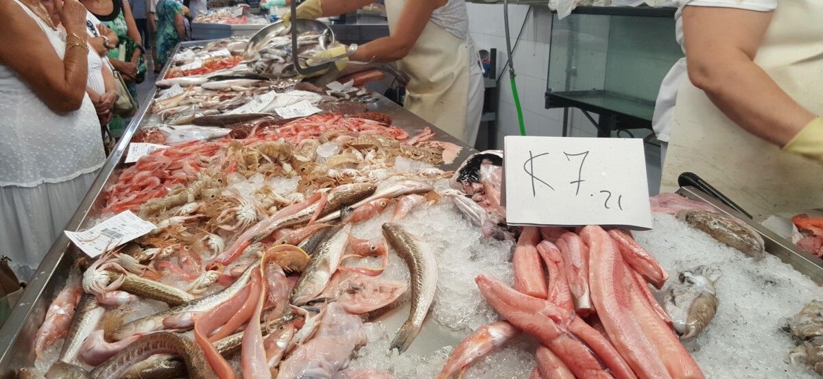 Taula Parada debat sobre el futur de la pesca al Mediterráneo (II)