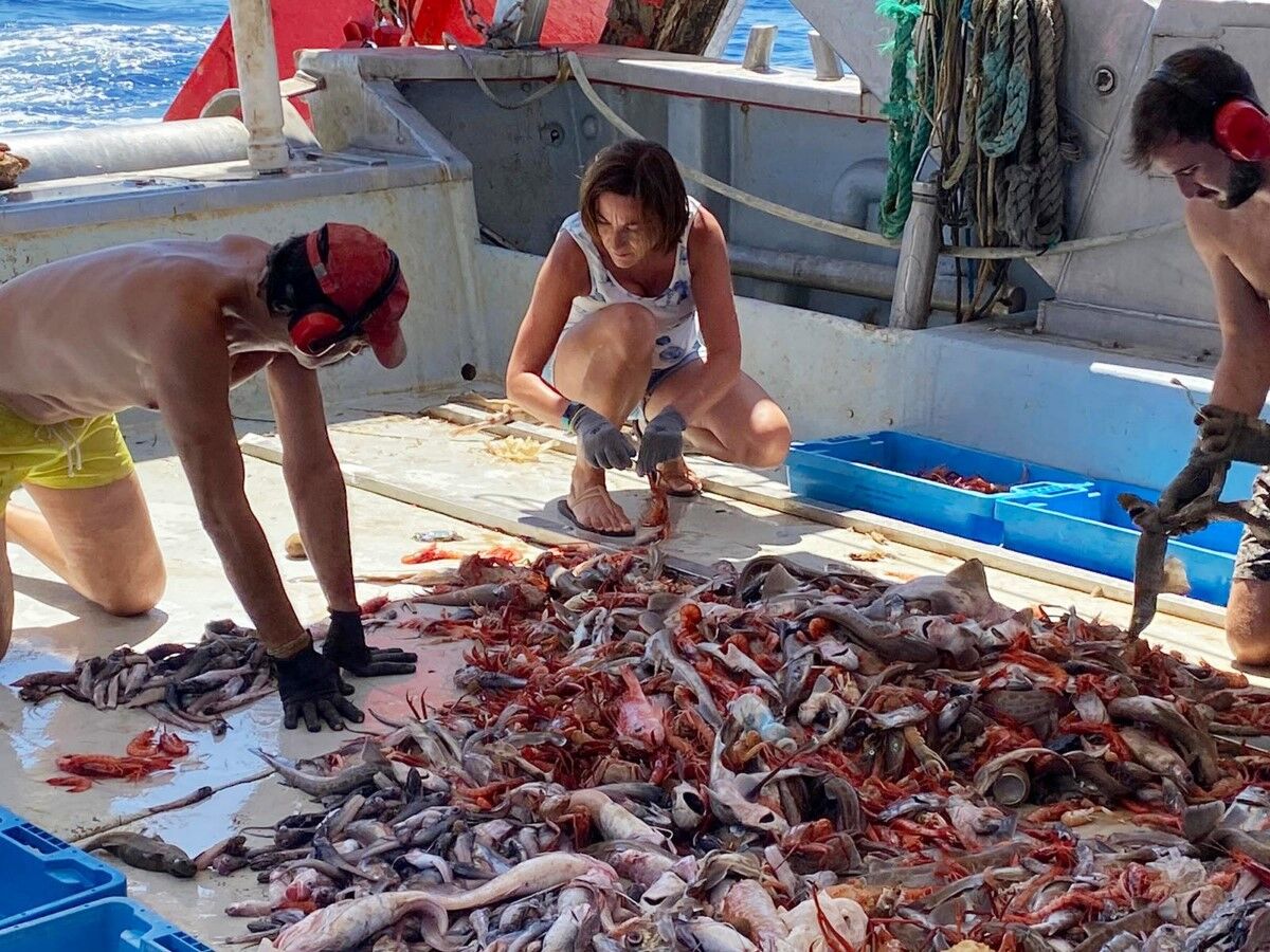 Taula Parada debat sobre el futur de la pesca al Mediterráneo (II)