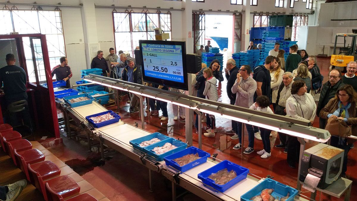 Taula Parada debat sobre el futur de la pesca al Mediterrani (I)