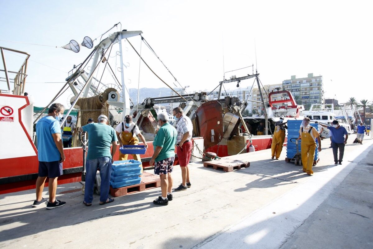 Taula Parada debat sobre el futur de la pesca al Mediterrani (I)